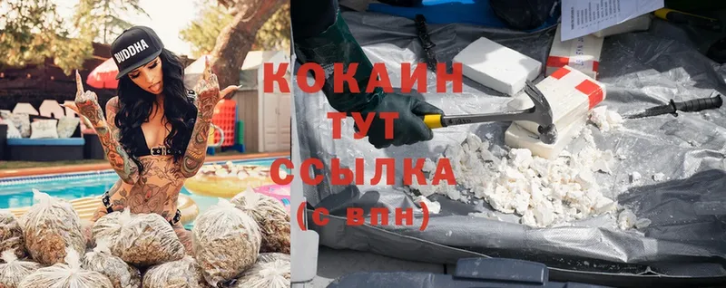 Купить наркотики цена Олонец Гашиш  Альфа ПВП  Мефедрон  mega ссылка  Cocaine 