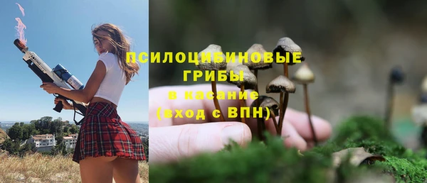 не бодяженный Надым