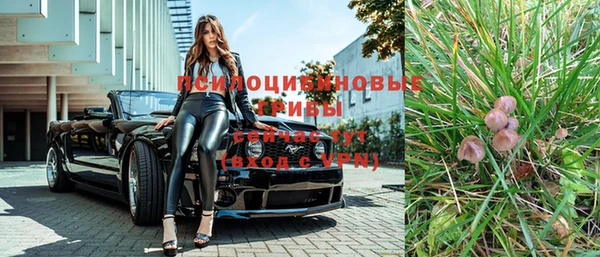 прущая мука Нея